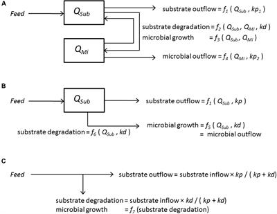 The Contribution of Mathematical Modeling to Understanding Dynamic Aspects of Rumen Metabolism